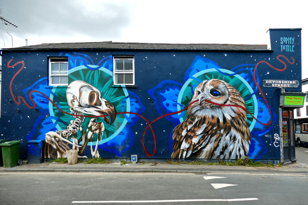Mural by Sophy Tuttle in Cheltenham