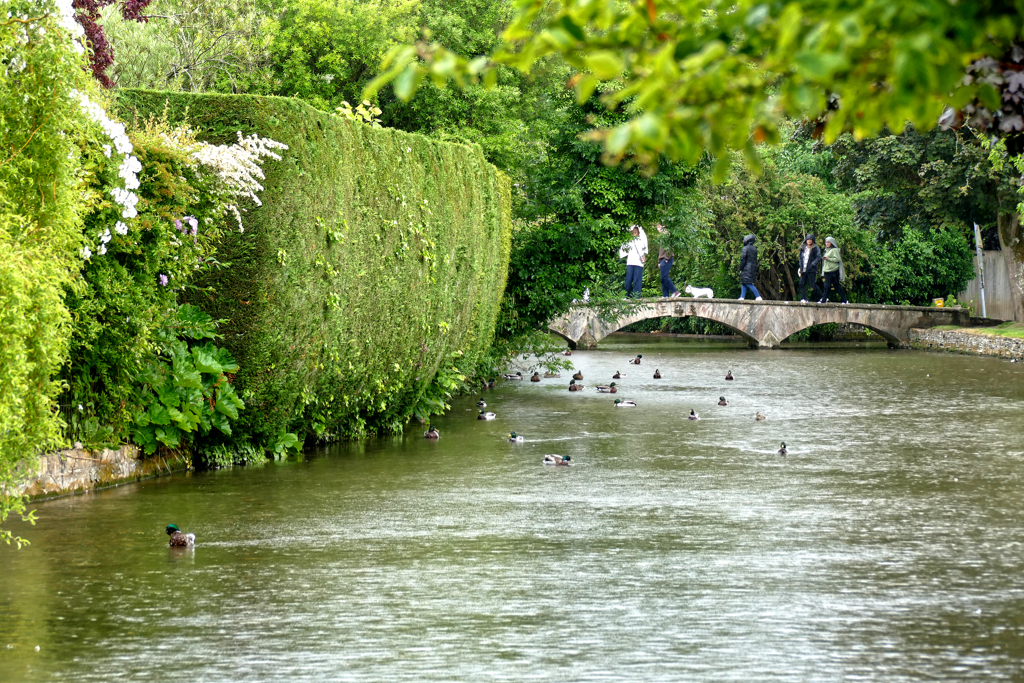 River Windrush in Bourton on the Water.