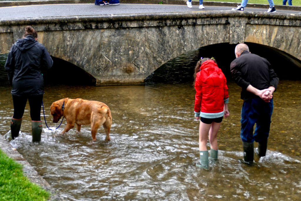 Walkers in the River Windrush.