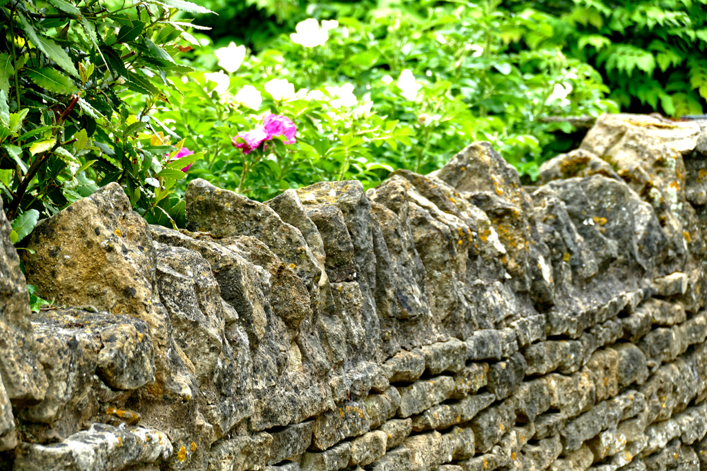 Stone fence in the Cotswolds.