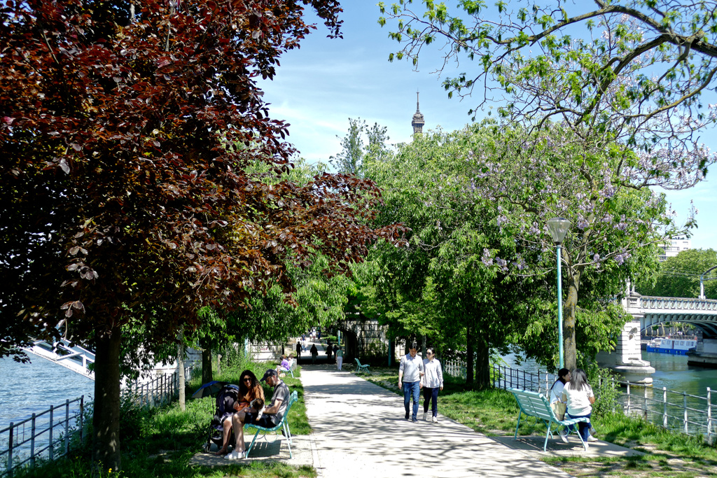 L'île aux Cygnes in Paris.