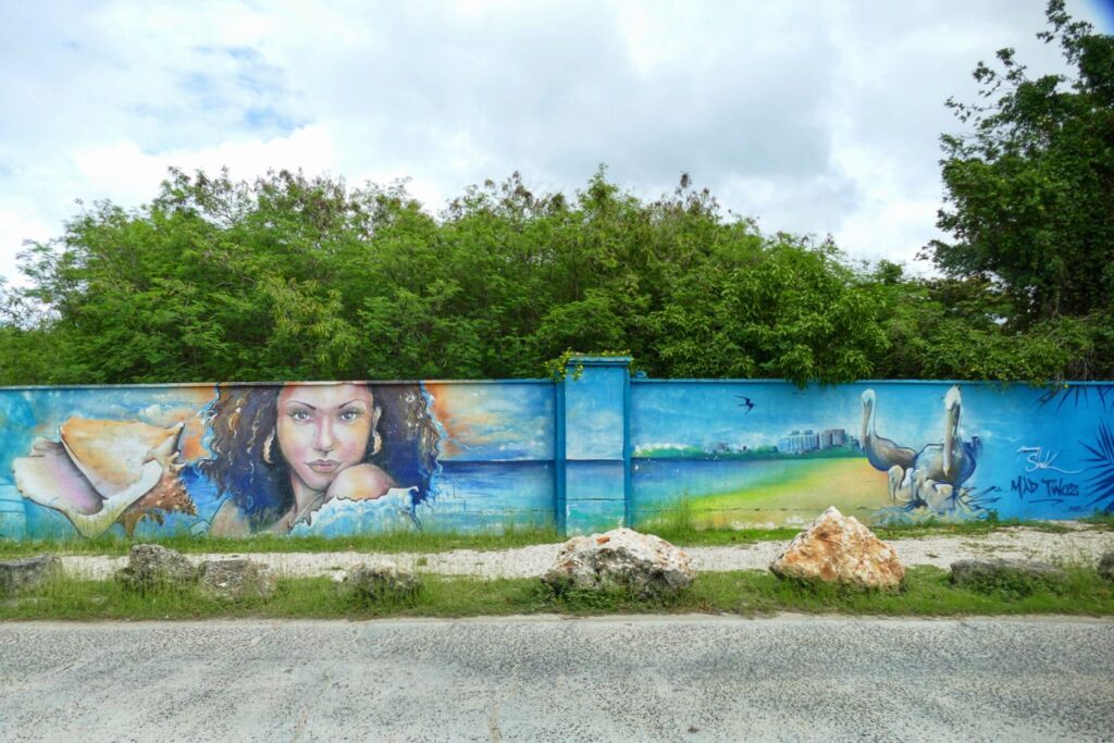 Some of the best Street art in Sint Maarten by Jimmy Sheik.