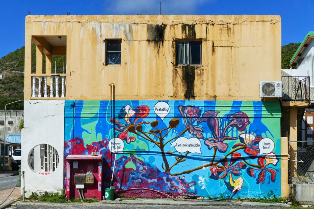 Some of the best Street art in Sint Maarten by Nascha Kagie.