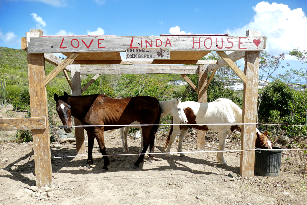 Ranch du Galion in Saint Martin.
