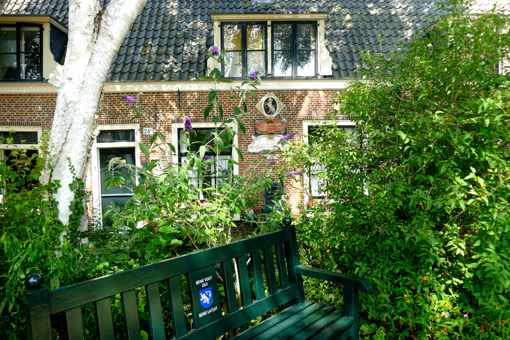 Frans Loenenhofje in Haarlem.