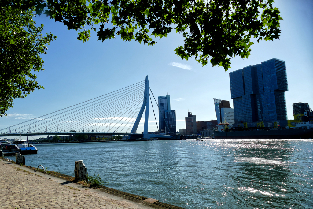 Erasmusbrug and The Rotterdam.