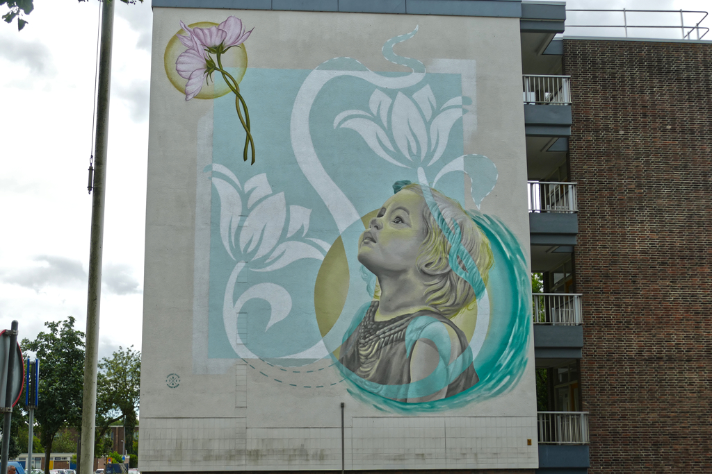Street Art Rotterdam South by Ricardo van Zwol.