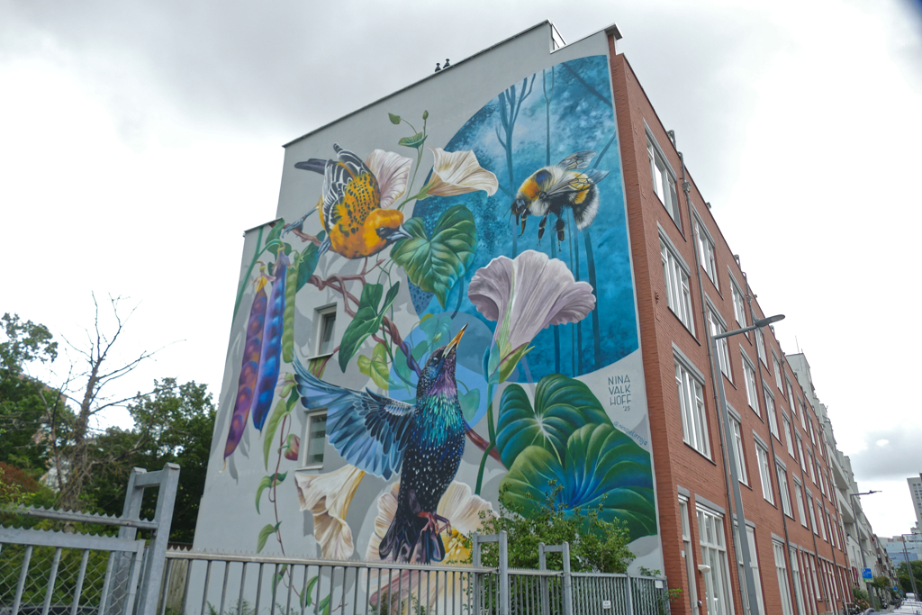 Best Street Art in Rotterdam by Nina Valkoff.