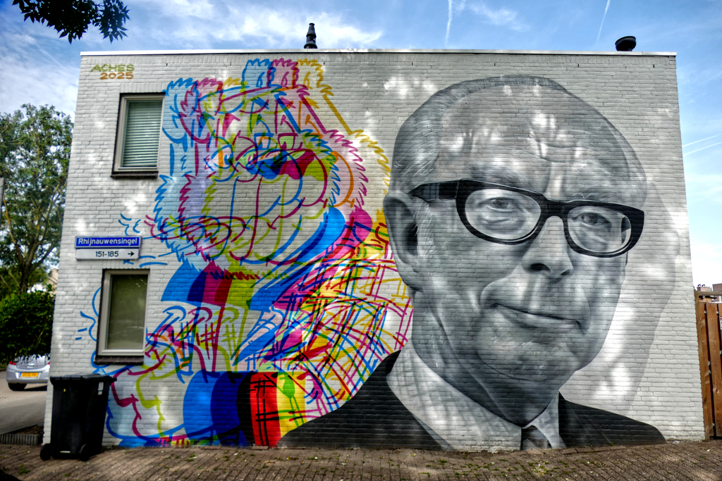 Best Street Art in Rotterdam North by Aches.