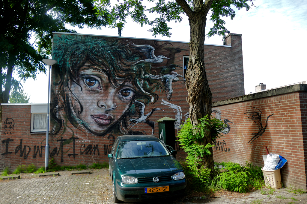 Best Street Art in Rotterdam North by Hera.