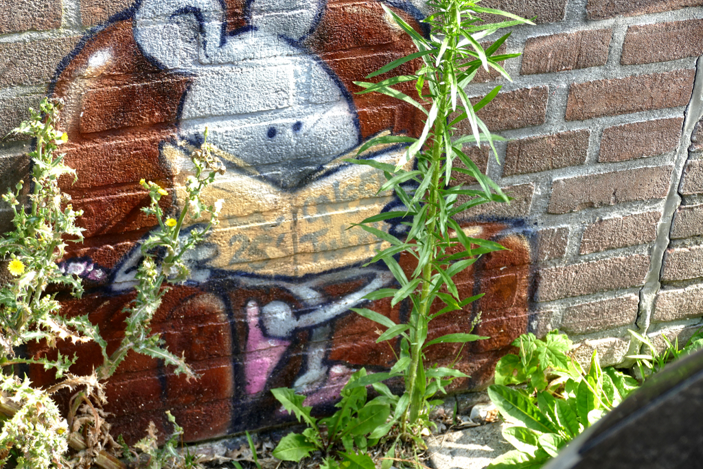 Best Street Art in Rotterdam North by Twopy.
