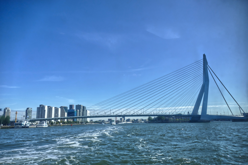 View of the Erasmusbridge and Wilhelminaplein in Rotterdam from the river.