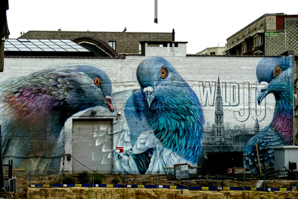 Best Street Art in Antwerp by Super A.