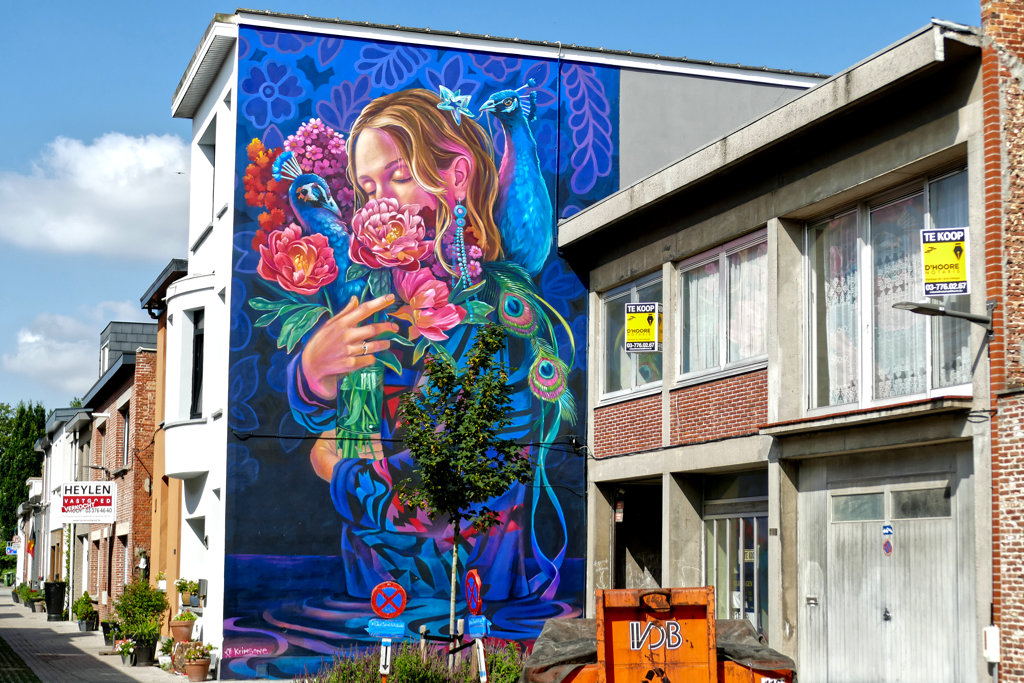 Best Street Art in Antwerp by Krimsone