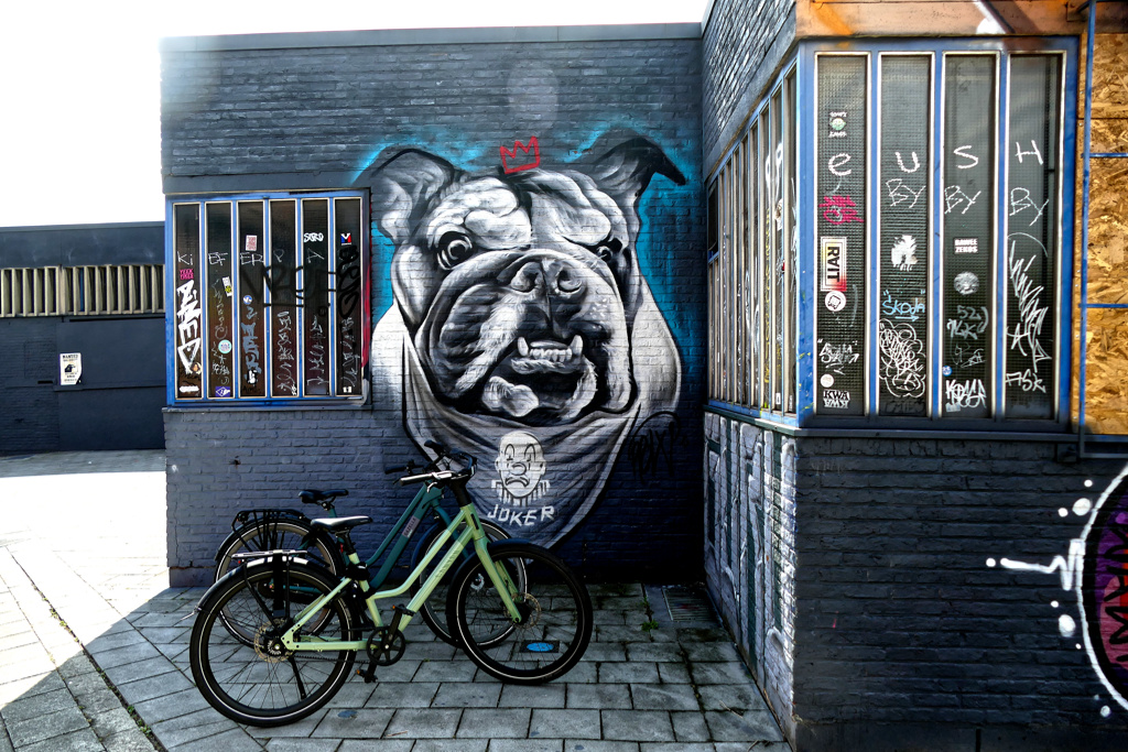 Best Street Art at the Zomerfabriek in Antwerpen by Rbel X