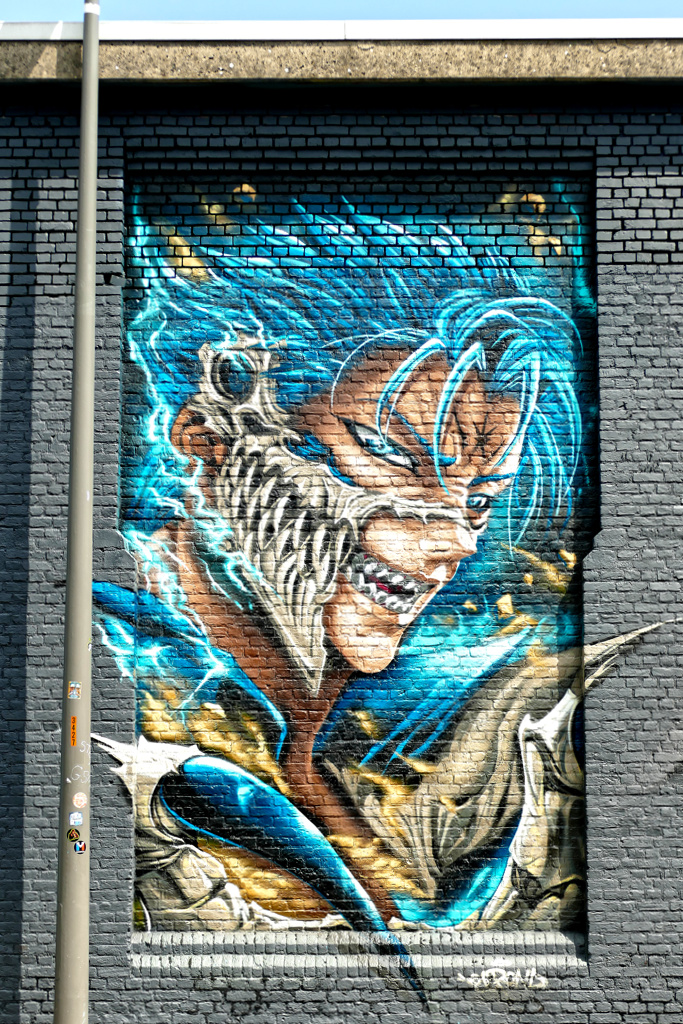 Best Street Art at the Zomerfabriek in Antwerpen by Elrond