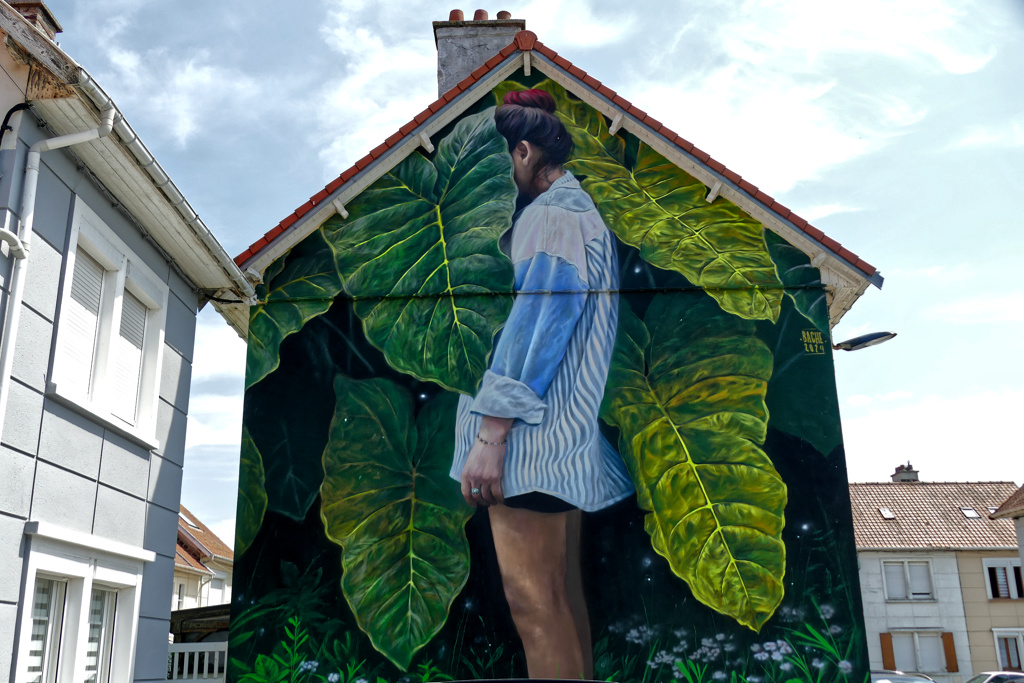 Best Street Art in the northern area of Boulogne sur Mer by Bache.
