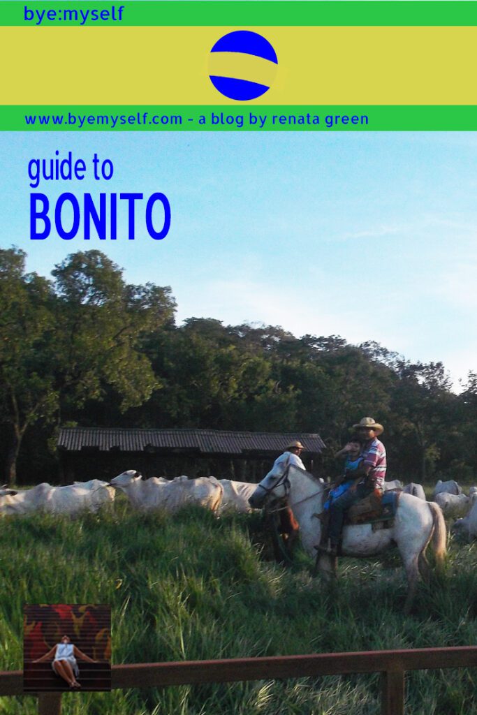 Pinnable Picture on the Post on Guide to BONITO - where nomen est omen, definitely