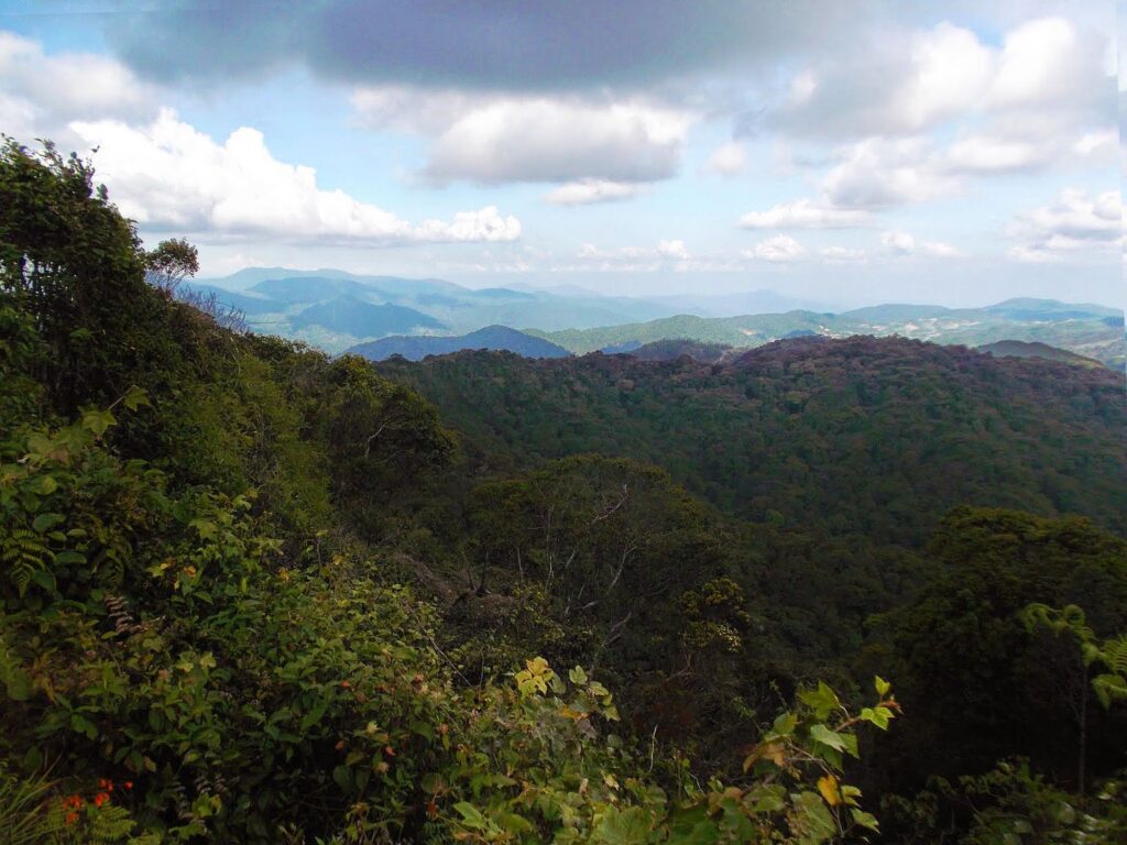 Guide to the CAMERON HIGHLANDS, Malaysia's Fruit Bowl