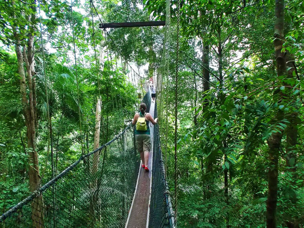 Canopy walkway 