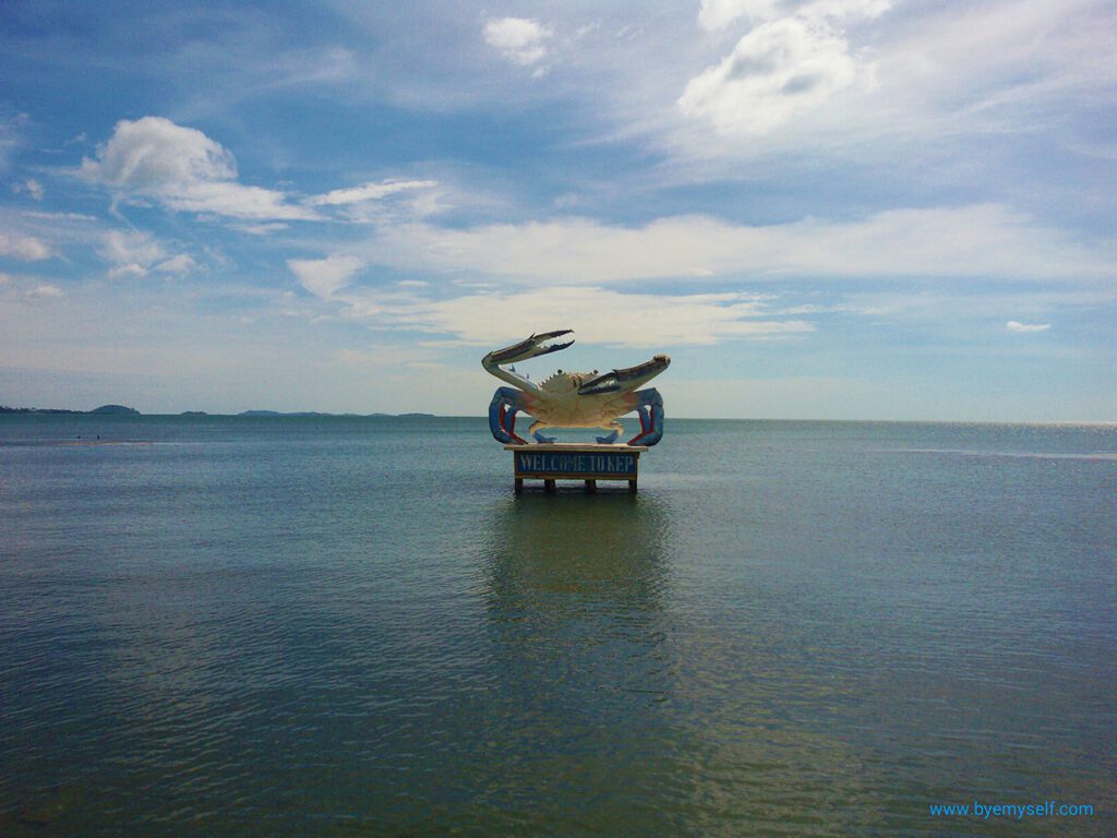 Crab in the sea off the shore of Kep