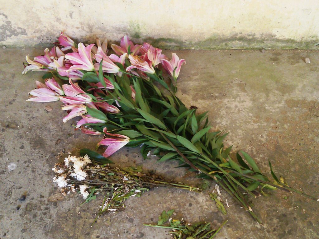 Flowers at the old Catholic church on Thansur Bokor