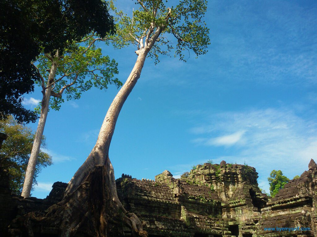 Ta Prohm in Siem Reap