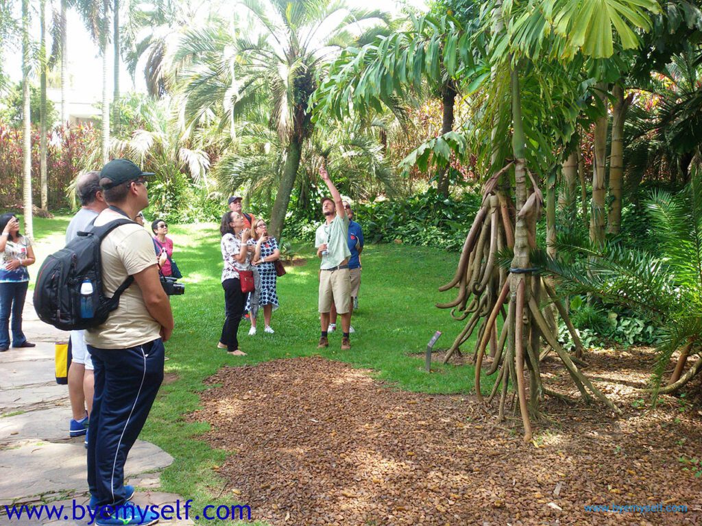 Guided tour through INHOTIM Botanic Garden 