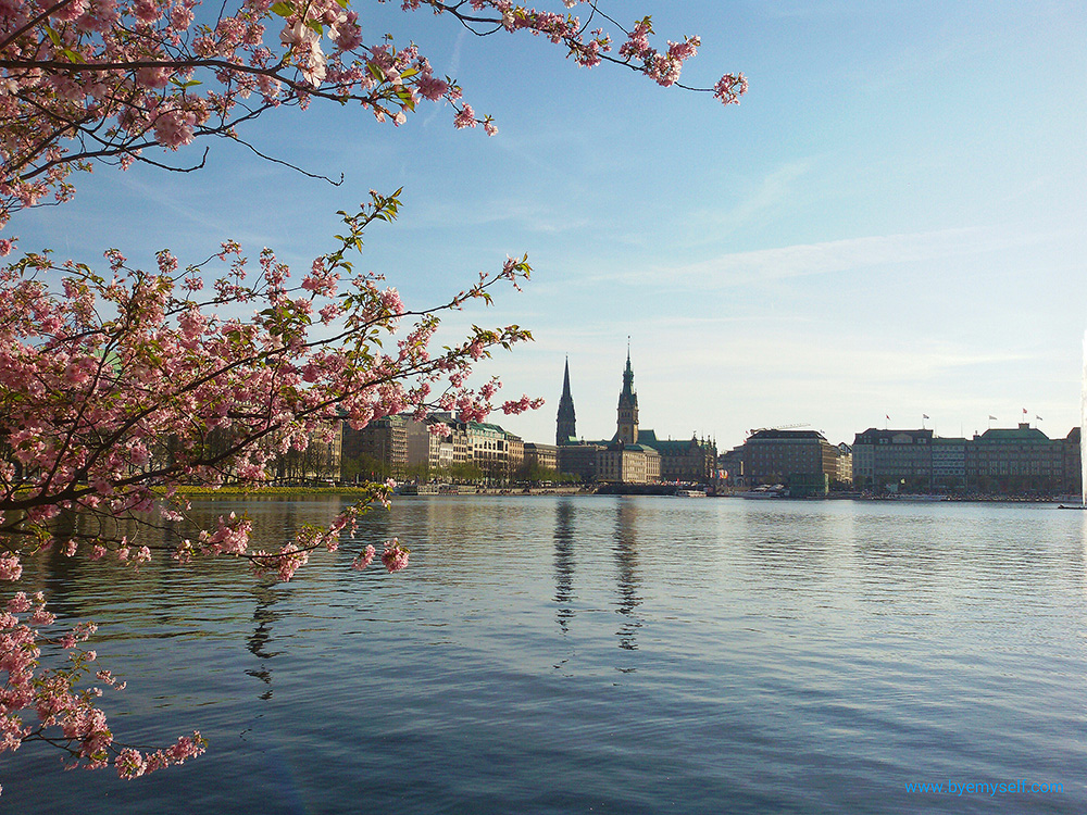 Alster Lake in the Center of Hamburg