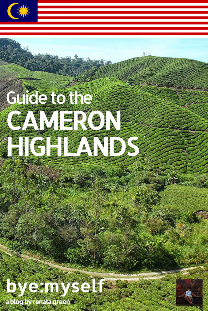 Pinnable Picture for the Post on Guide to the CAMERON HIGHLANDS, Malaysia's Fruit Bowl