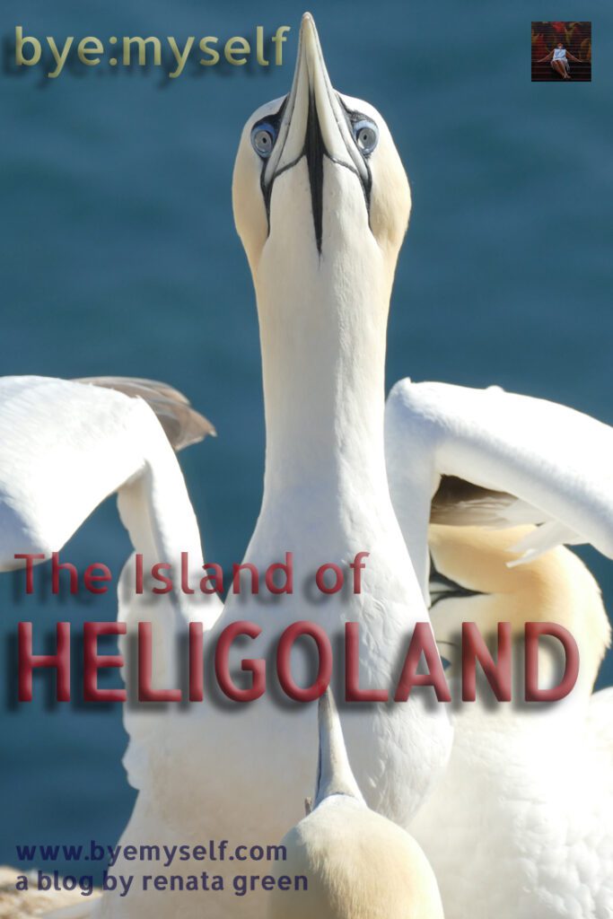 Pinnable Picture for the post on The Island of HELIGOLAND - soft spot with rough edges