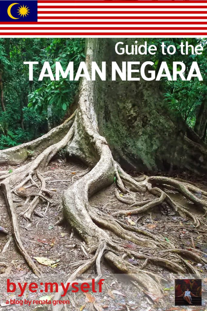 One of the adventurous highlights of my visit to Malaysia was the two day trip to the Taman Negara, which simply translates to National Park and - being about 130 million years old - is one of the world's oldest rainforests. A visit even makes up in case you're missing out on the natural wonders of Malaysian Borneo. #tamannegara #kualatahan #malaysia #asia #southeastasia #travel #tourism #solotravel #femaletravel #femalesolotravel #byemyself #byemyselftravels