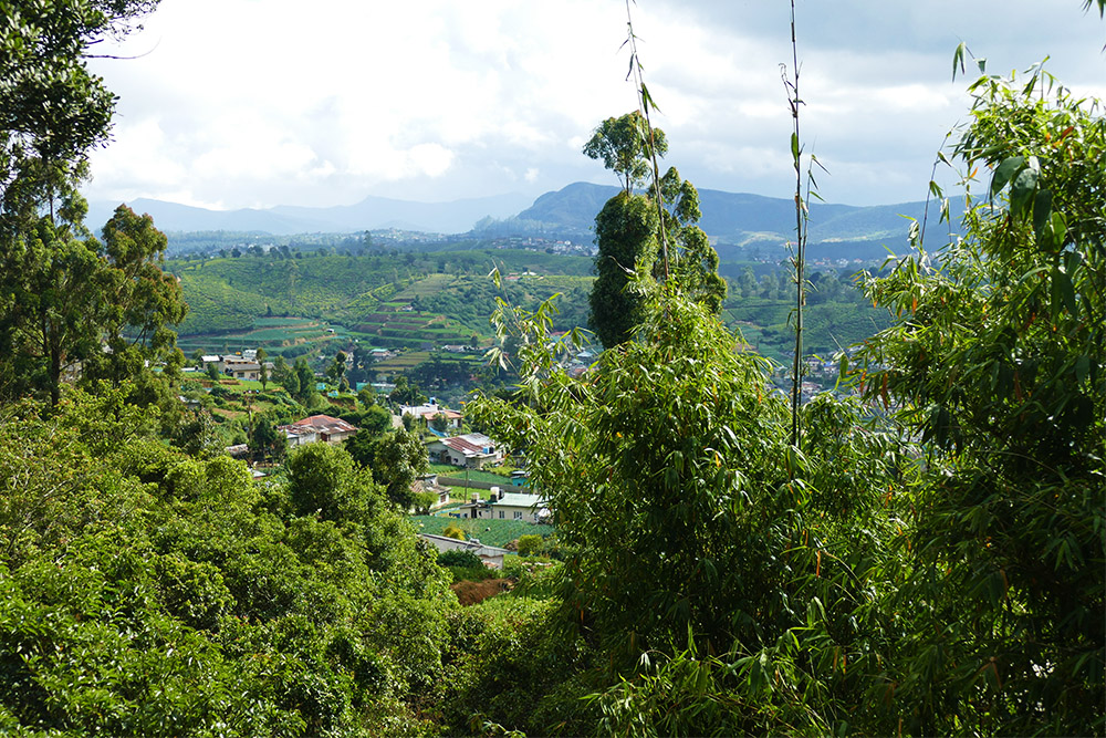 View of Nuwara Eliya