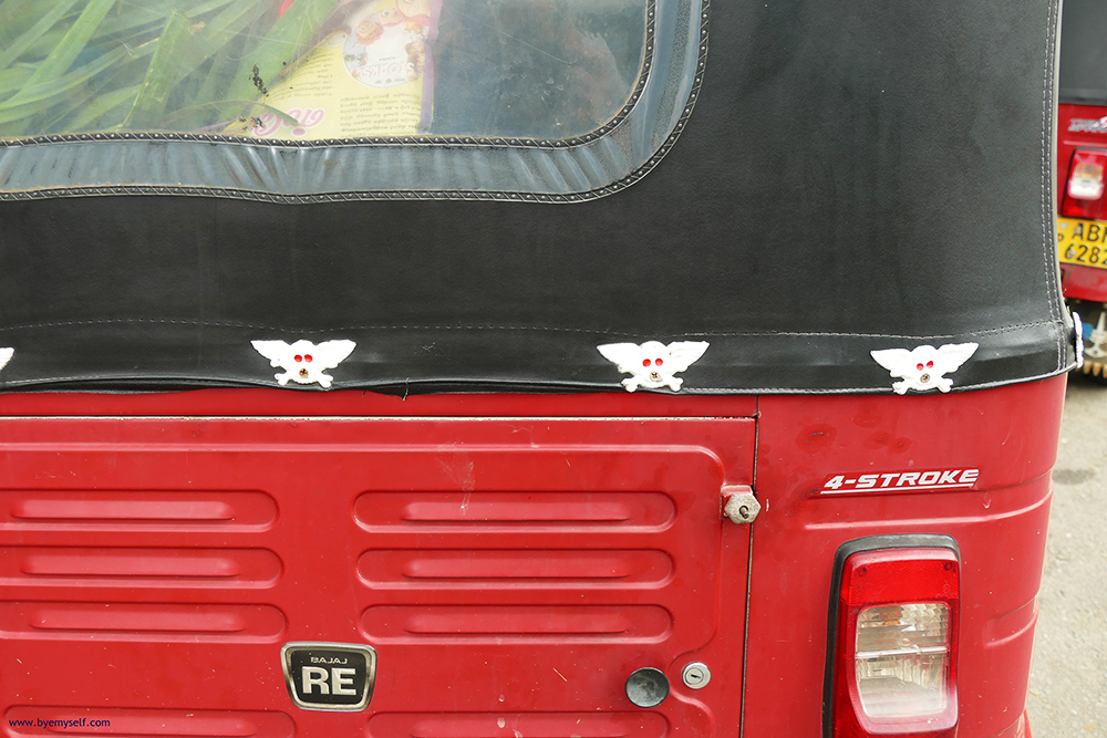 Skulls on a Tuk-Tuk in Sri Lanka