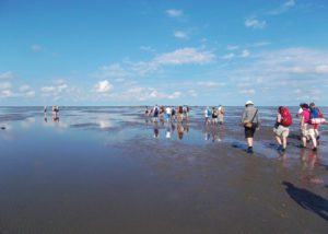 Crossing the mudflat from Cuxhaven to the Neuwerk island.