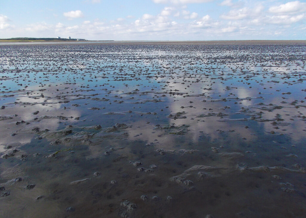 CUXHAVEN - walking on water | experienced bye:myself