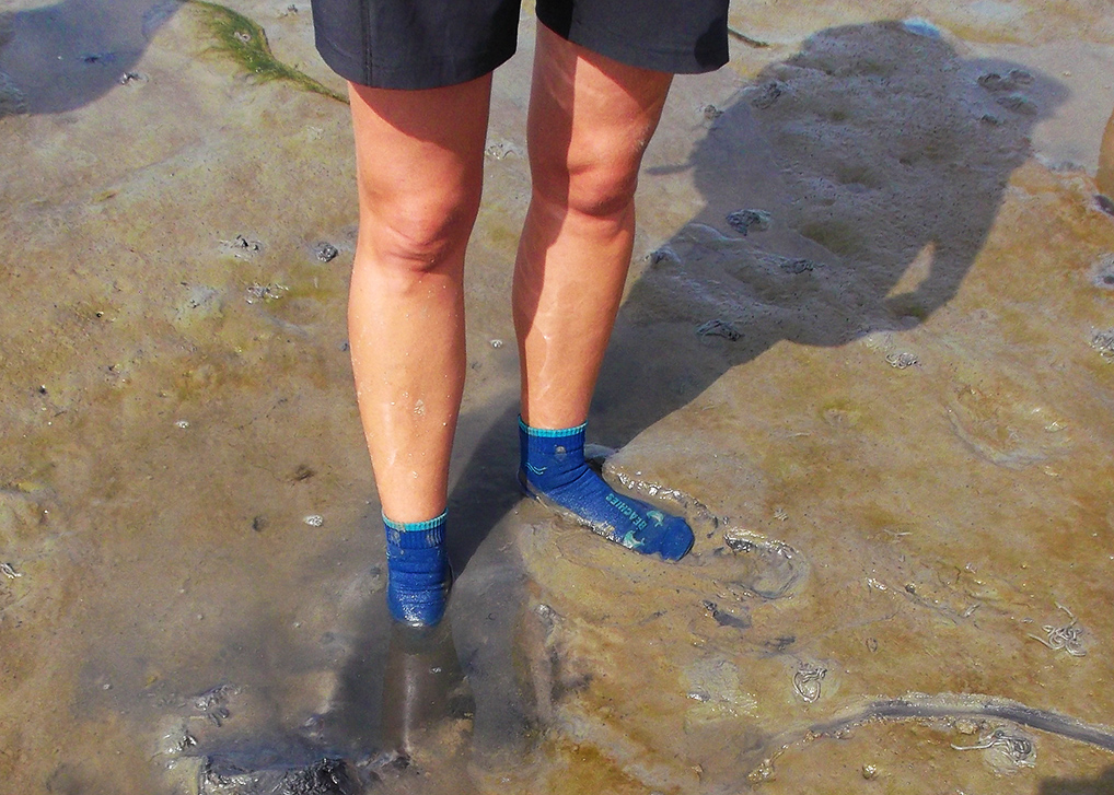 Women's Legs on the mudflat beween Cuxhaven and Neuwerk island