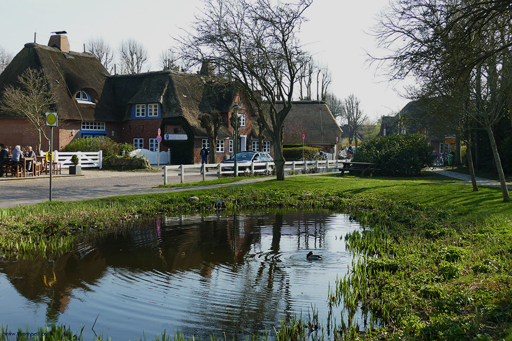 Frisian Houses around a Pond in Nieblum on Foehr