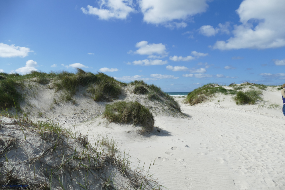 Beach on the Island of Düne