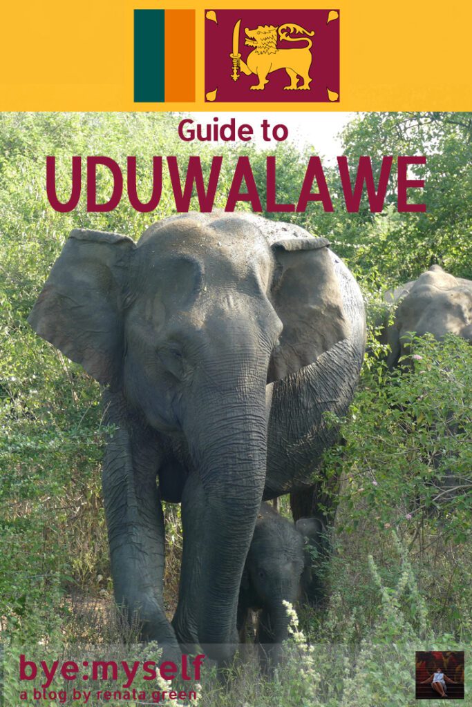 Pinnable Picture for the post on Guide to UDAWALAWE - on a Peaceful Safari